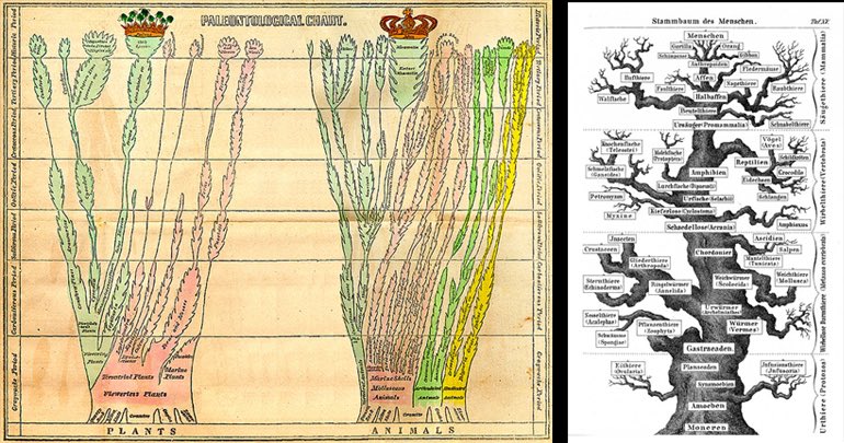 「絵が描けない人にとってどうでも良いこと」ブログ書きました👀

双方の系統樹比べて平面的か立体的か何を描いているかわかるのは、絵が描ける人の目でしかわからないものなので、普通の人はどちらが良いかの判断はどうでも良いことのように思う🤔

https://t.co/ygrxEI5ojr

#絵
#漫画
#イラスト 