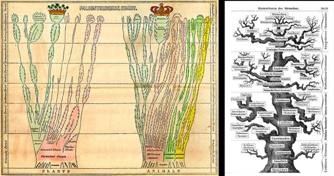 「絵が描けない人にとってどうでも良いこと」ブログ書きました👀

双方の系統樹比べて平面的か立体的か何を描いているかわかるのは、絵が描ける人の目でしかわからないものなので、普通の人はどちらが良いかの判断はどうでも良いことのように思う🤔

https://t.co/ygrxEI5ojr

#絵
#漫画
#イラスト 