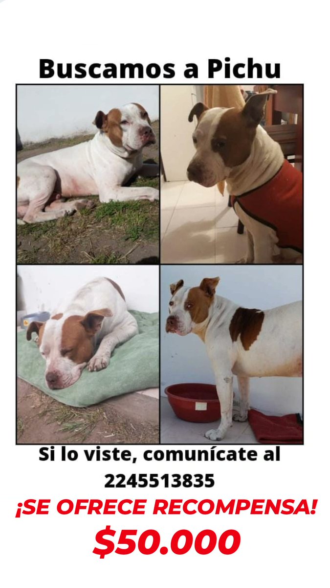 Se agradece si comparten 🙏