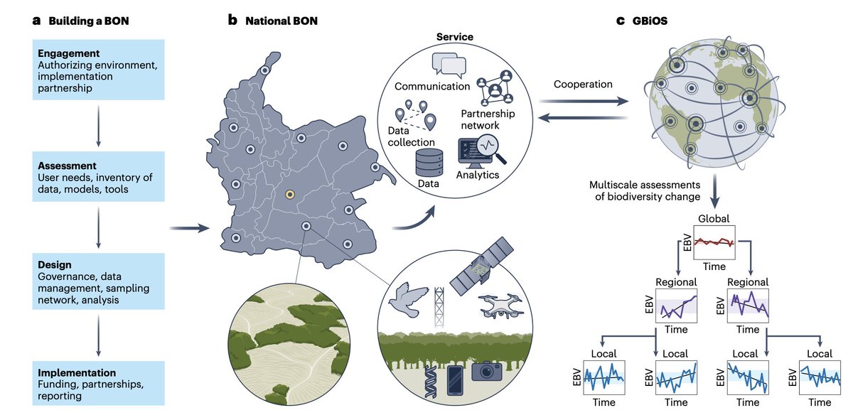 🚨New article on #GBiOS 'A global biodiversity observing system to unite monitoring and guide action' published in @NatureEcoEvo GBiOS combines global collaboration, tech & data to monitor biodiversity change & target action in support of the #KMGBF 👉 doi.org/10.1038/s41559…