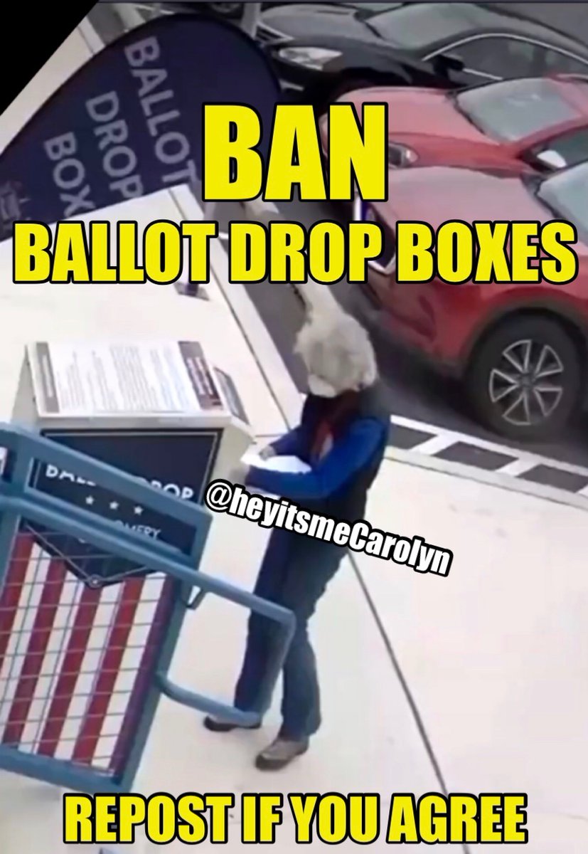 heyitsmeCarolyn's tweet photo. Ban Ballot Drop Boxes‼️ https://t.co/GOMmAoct6X