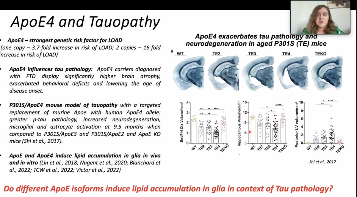 ISMND1's tweet photo. Next, Alexandra Litvinchuk @WUSTL discusses amelioration of tau and #ApoE4-linked glial lipid accumulation and #neurodegeneration with an LXR agonist
#ISMNDNextGen https://t.co/l4dT2vj7Mm