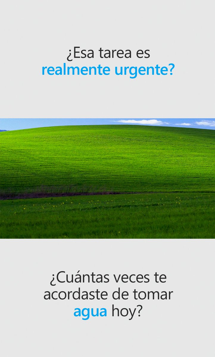 MicrosoftLatam's tweet photo. Abre las imágenes y encuentra un mensaje especial ✨ https://t.co/F4pb4BwW21