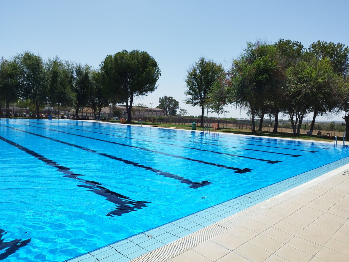 gargon79's tweet photo. Tarde de piscina...🏊🏽‍♂️🌞
#piscina #ciudadjuvenil #recuerdosdeinfancia #familytime #swmingpool #crol #espalda #braza #mariposa #buceo #oxidao #peleadechurrito #calufa #holidays https://t.co/mXNEScJBOM
