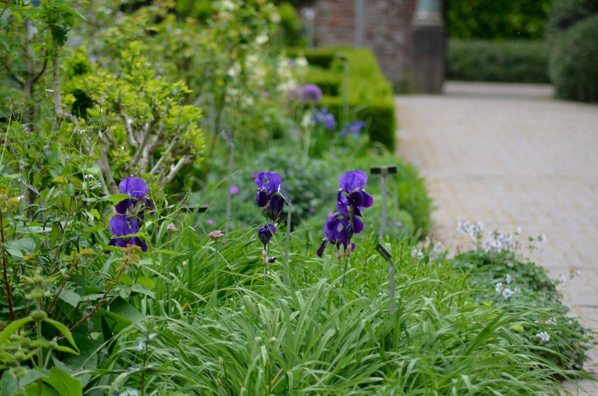 KastelenTuinen's tweet photo. Een #kasteeltuin van een verdwenen #kasteel...Wie weet waar dit is? https://t.co/wAPfhXORkr