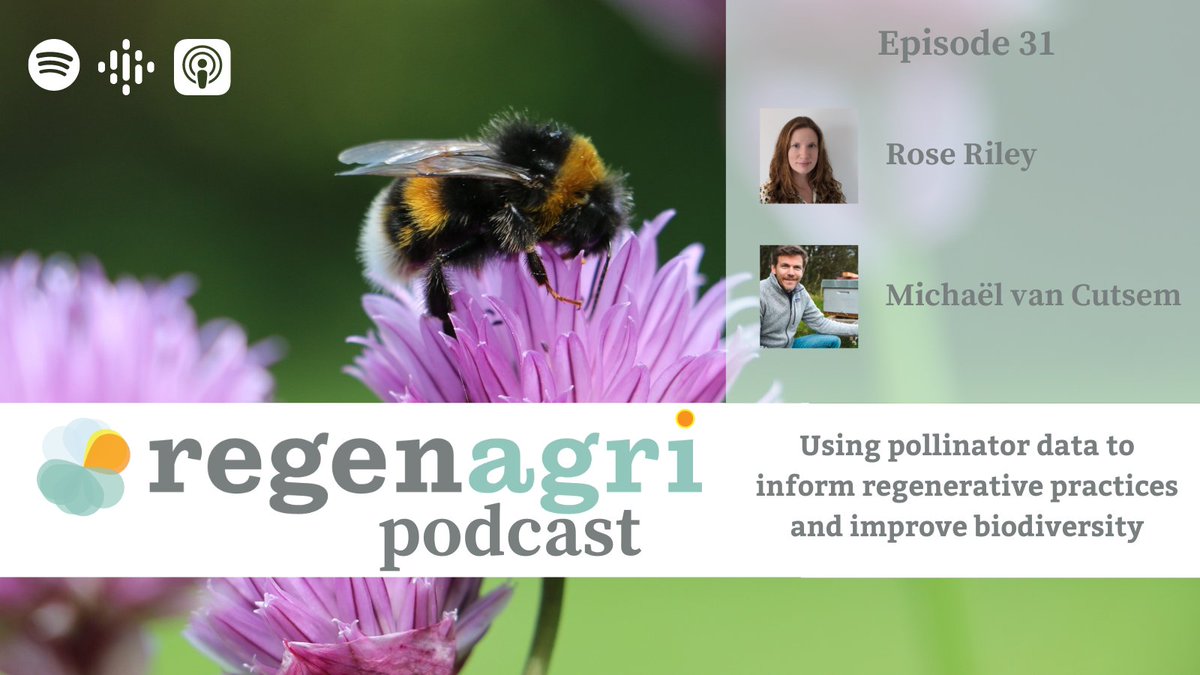 #regenagri #podcast is back! Moving to bi-monthly, in August’s episode, Rose Riley speaks to Michaël van Cutsem, co-founder of Beeodiversity, about using pollinator data to inform #regenerative practices &amp; improve #biodiversity 🐝 Search for the regenagri podcast to listen 🎧