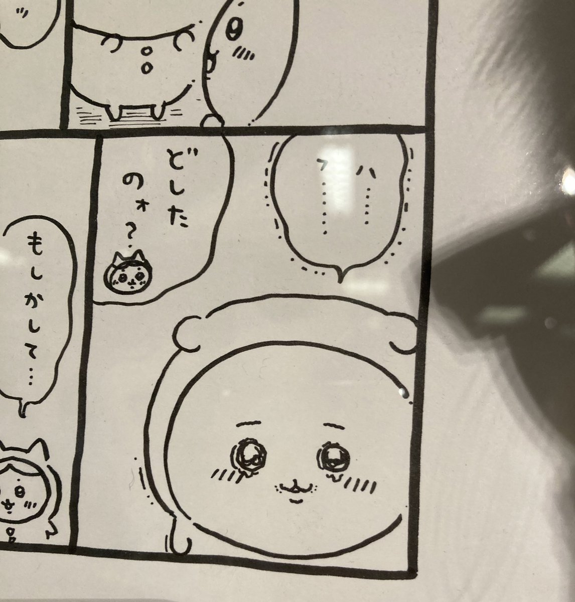 ナガノ展めちゃ良かった 