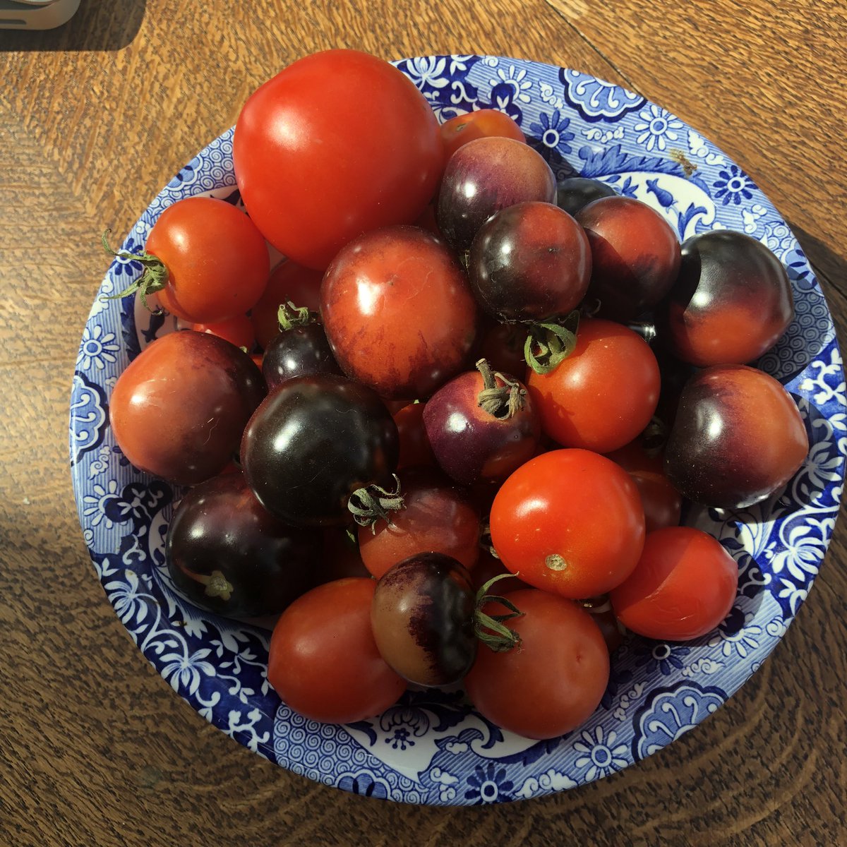 Carole Miles tweet media