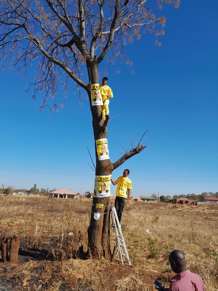 AkaKedha's tweet image. Though we have lost the council  contest , we have managed to secure the Presidential important vote - to be honest people here in farms are living in perpetual fear, thank you to those who were brave enough to vote for change. Our efforts didn't go in vain- we did our best