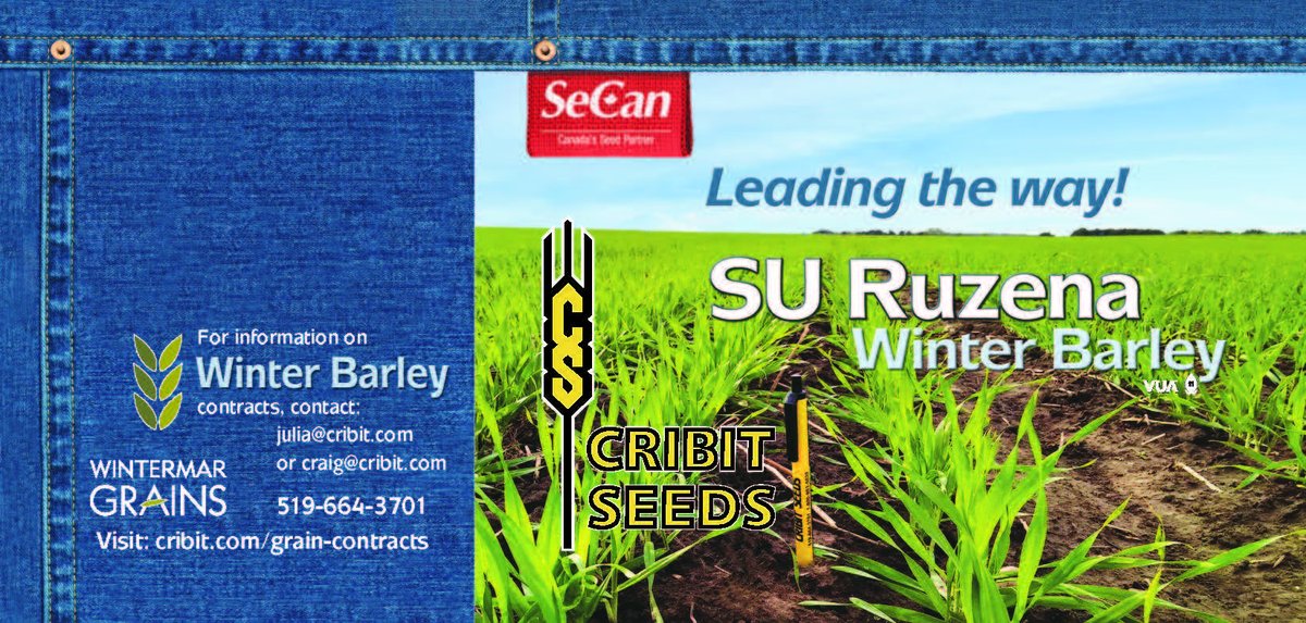 Cribit Seeds tweet media