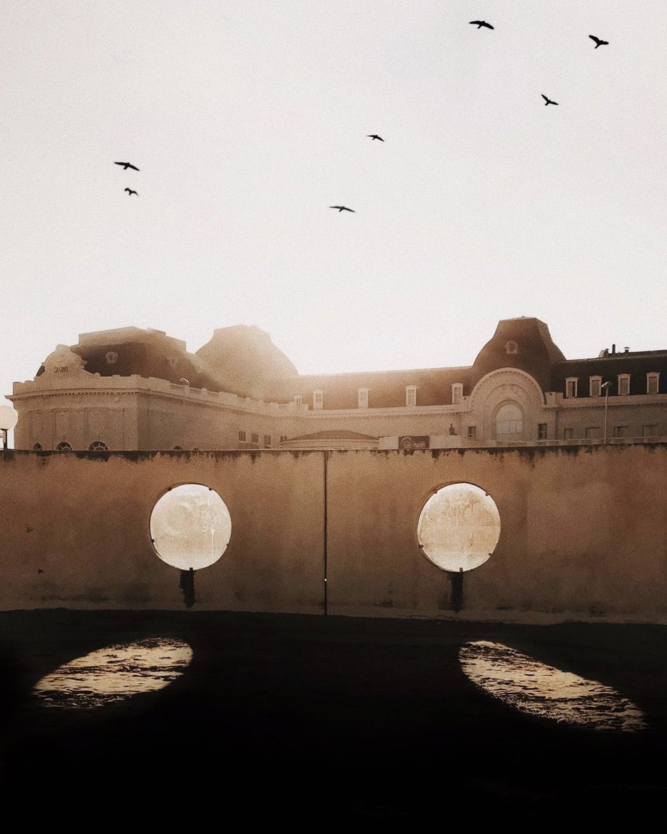 LEICA MAG tweet media