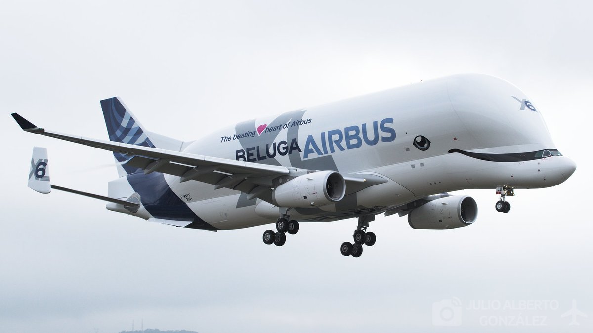 Juli0_Albert0's tweet photo. Uno de los últimos Beluga XL de Airbus, nº 6, haciendo las ya habituales pruebas en #levx Vigo esta mañana.
#aviationphotography
#belugaxl
#Airbus https://t.co/xLRgSyPW85