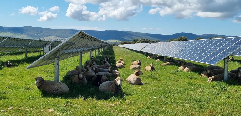 ¿Conoces la agrovoltaica? buff.ly/3YO2dl4