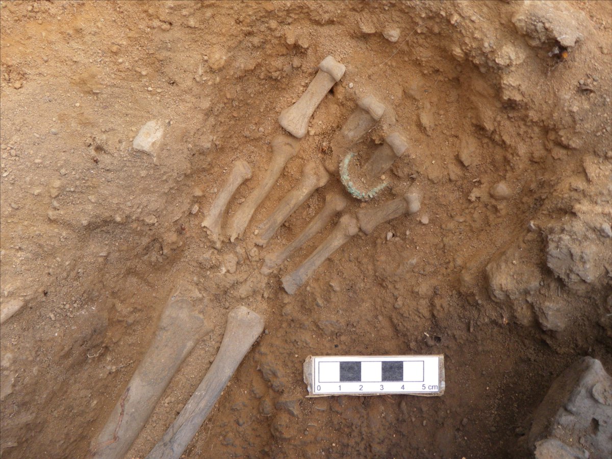 Museu de Prehistòria de València tweet media