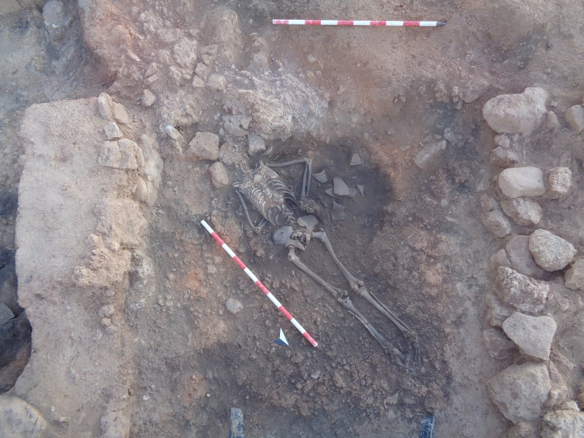 Museu de Prehistòria de València tweet media