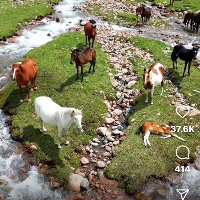 MMhnned's tweet photo. #صورة_جديدة_للملف_الشخصي https://t.co/mIgCGGOLjz