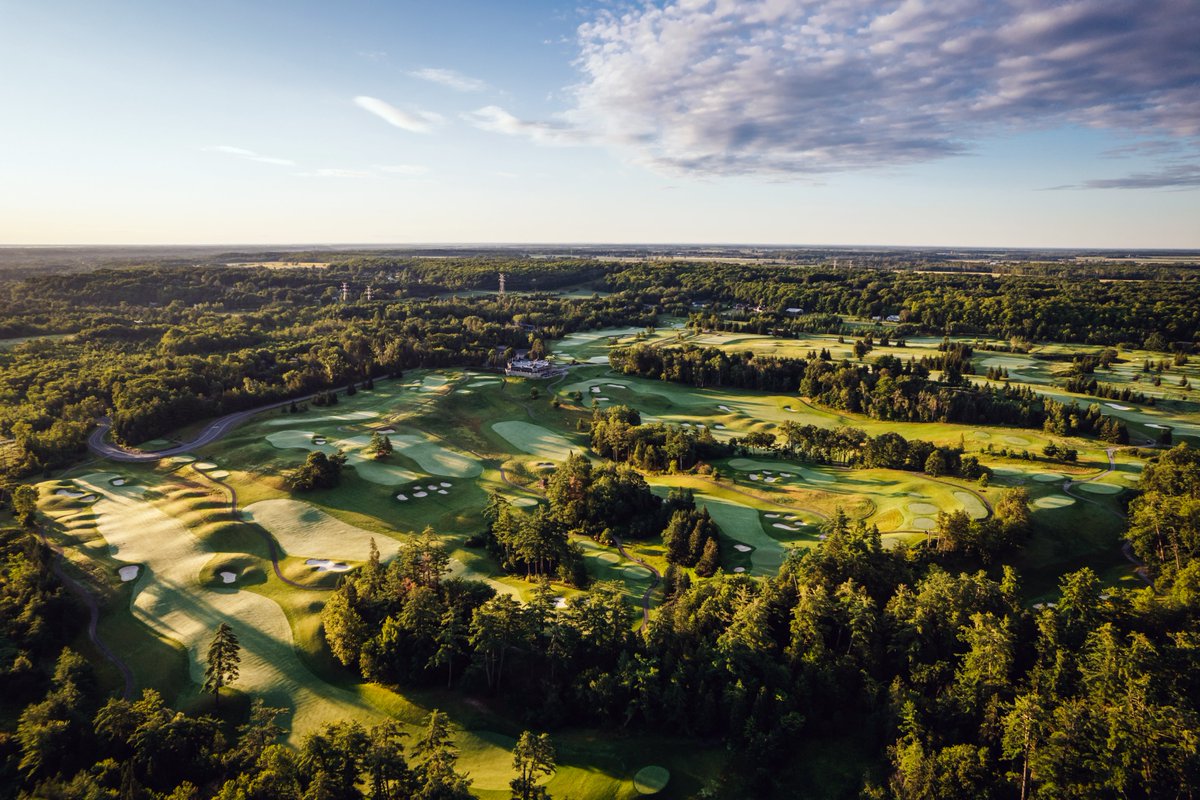 TheRealCFry tweet media