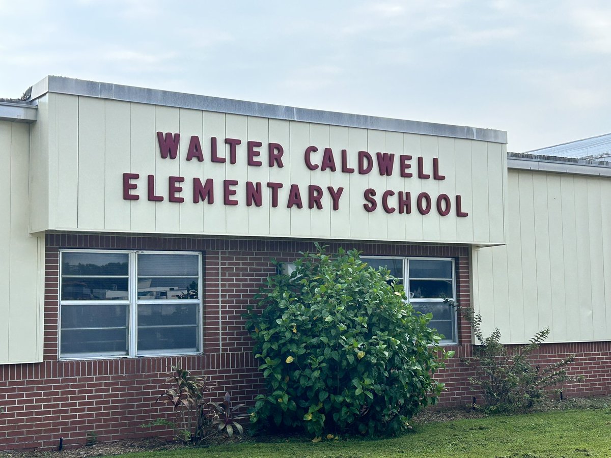 Lindsay Sharp tweet media