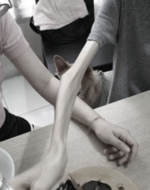 FinallyBones's tweet photo. Pictures that have haunted me for years ...

🏷️ Edtwt 4n4r3x1a thinspo th1nsp0 anamia 4n4m14 disorderedthoughts bonespo bonesp0 deathsp0 deathspo https://t.co/tqGh3TMe79