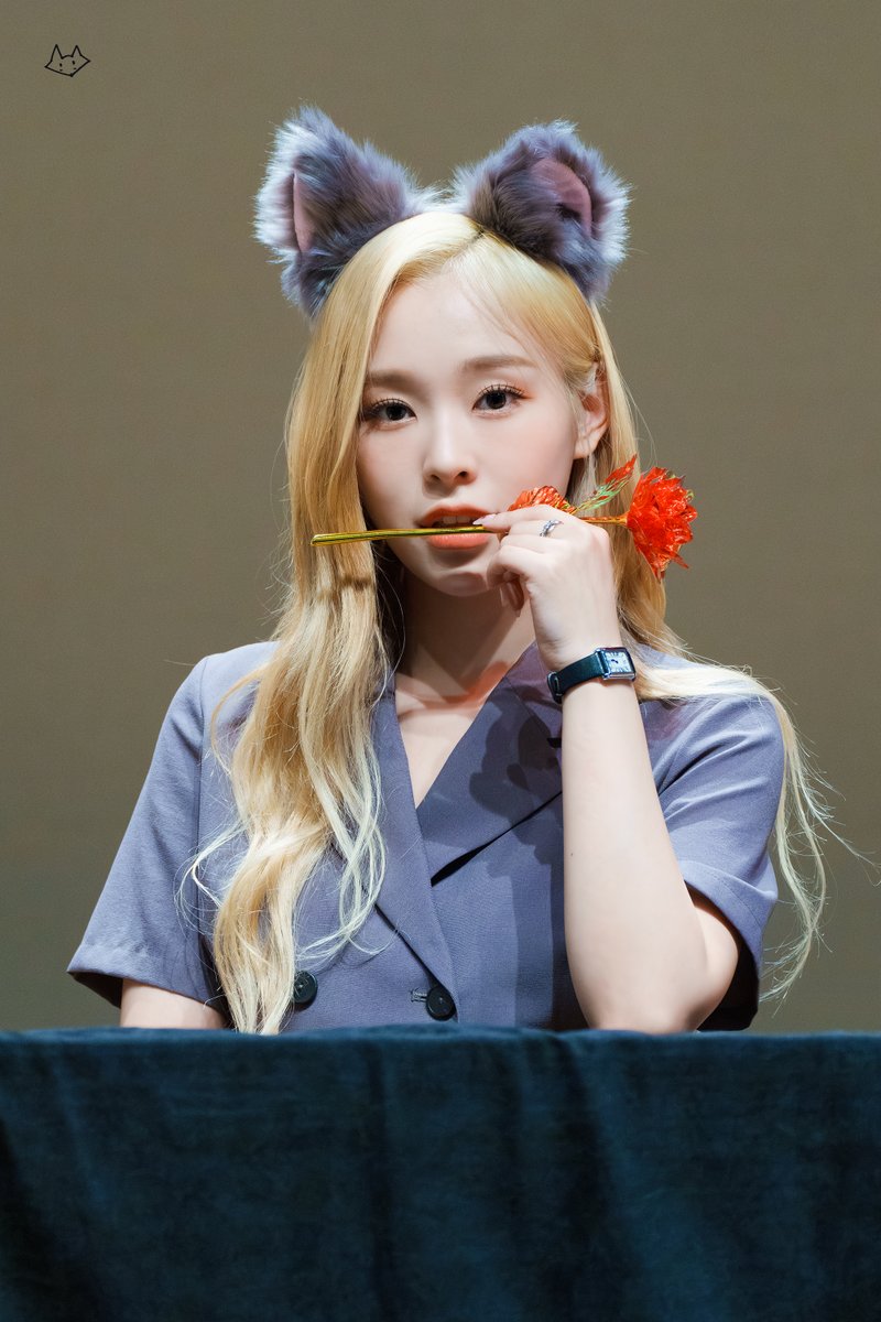 230625 드림캐쳐 후즈팬 팬사인회 가현

Rose Fox.

#DREAMCATCHER #GAHYEON