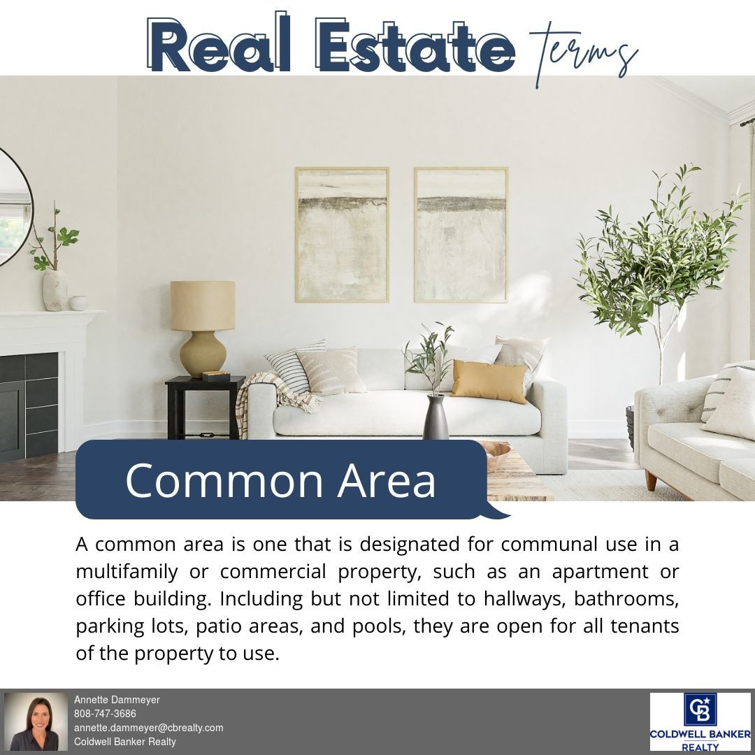 AnnetteDammeyer's tweet image. 👩‍🏫Today&apos;s Term: Common Area. 🏘️

Common areas often exist in apartments, gated communities, condominiums and cooperatives.

#TodaysTerm #realestateterms #CommonArea #annettedammeyer #yourhelpfulrealtor #community