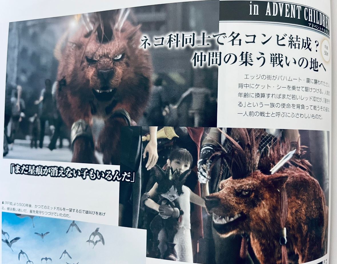 Genki✨ tweet media