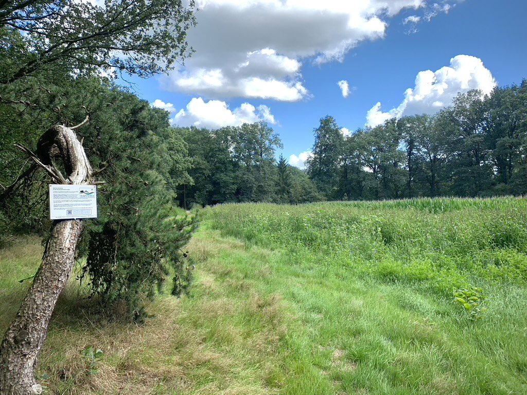 1 vd akkerranden die zaaiklaar gemaakt is, ingezaaid, verwijderen schadelijke planten, watergeven tijdens de droge periode. Resultaat: Bloemenrijk, insectenrijk, zoogdierrijk en vogelrijk. Uitlegbordjes erbij. Superwerk voor #biodiversiteit van jagende vrijwilligers #utrecht