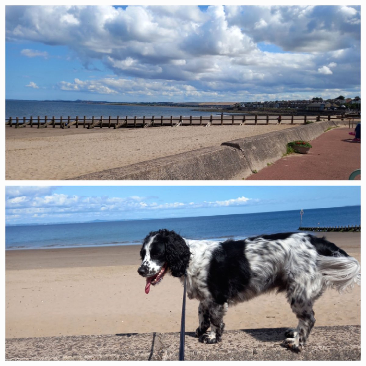 Sunny Portobello...seaside time for Eric.