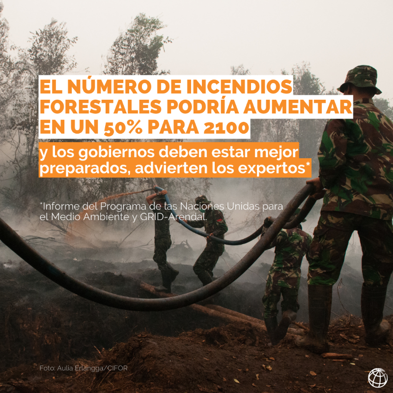 BancoMundial's tweet photo. Durante las últimas semanas, catastróficos #IncendiosForestales han devastado partes del mundo. ⁠Es esencial estar mejor preparados, ya que es probable que el cambio climático y el cambio en el uso de la tierra hagan que estos eventos sean más intensos y frecuentes: