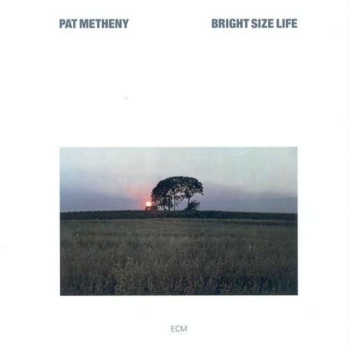 JimKell23684814's tweet photo. @tansleyjames #patmetheny #brightsizelife https://t.co/2bLA8qrFmV