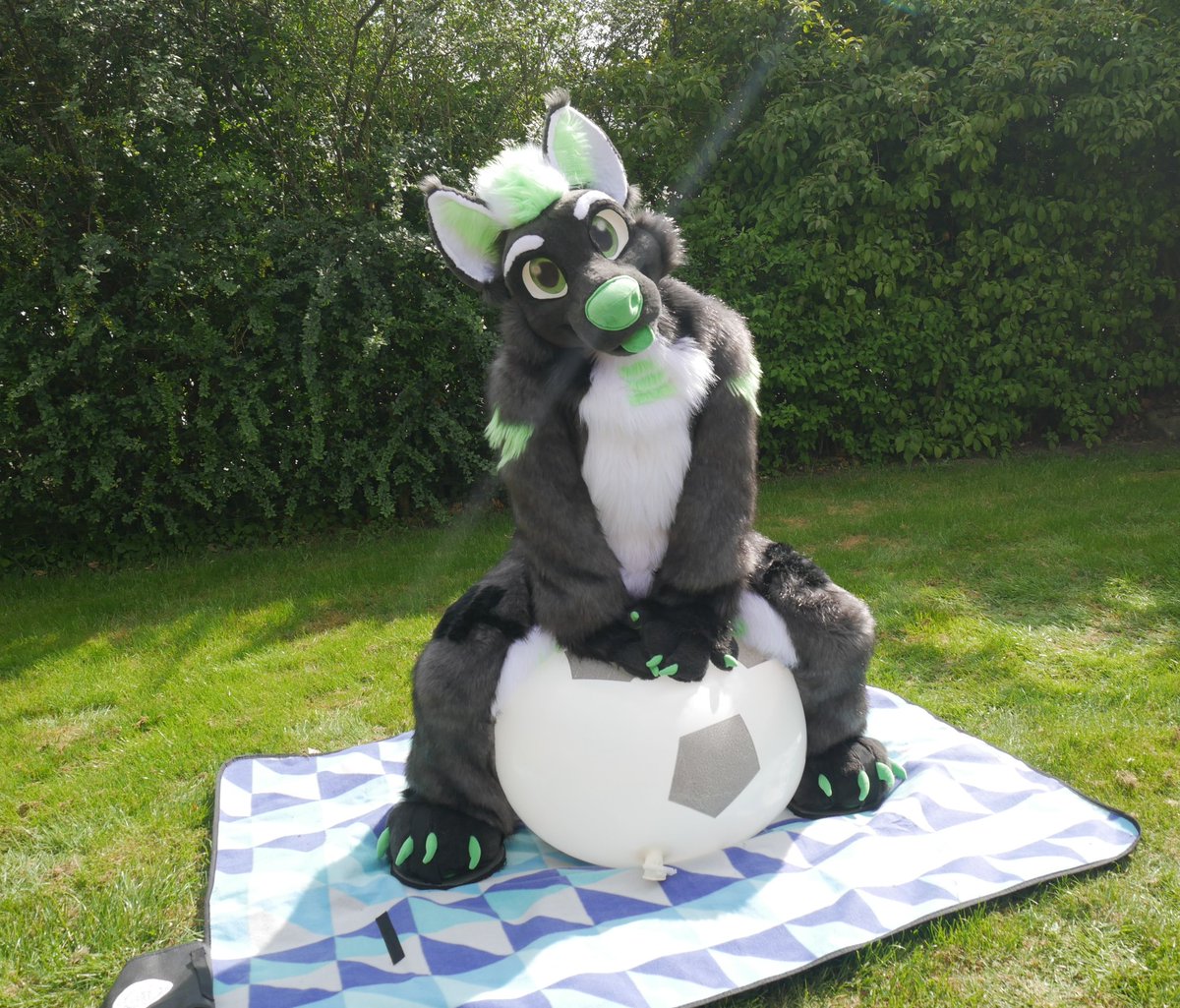 battery-fox🔋🦊🇩🇰 tweet media