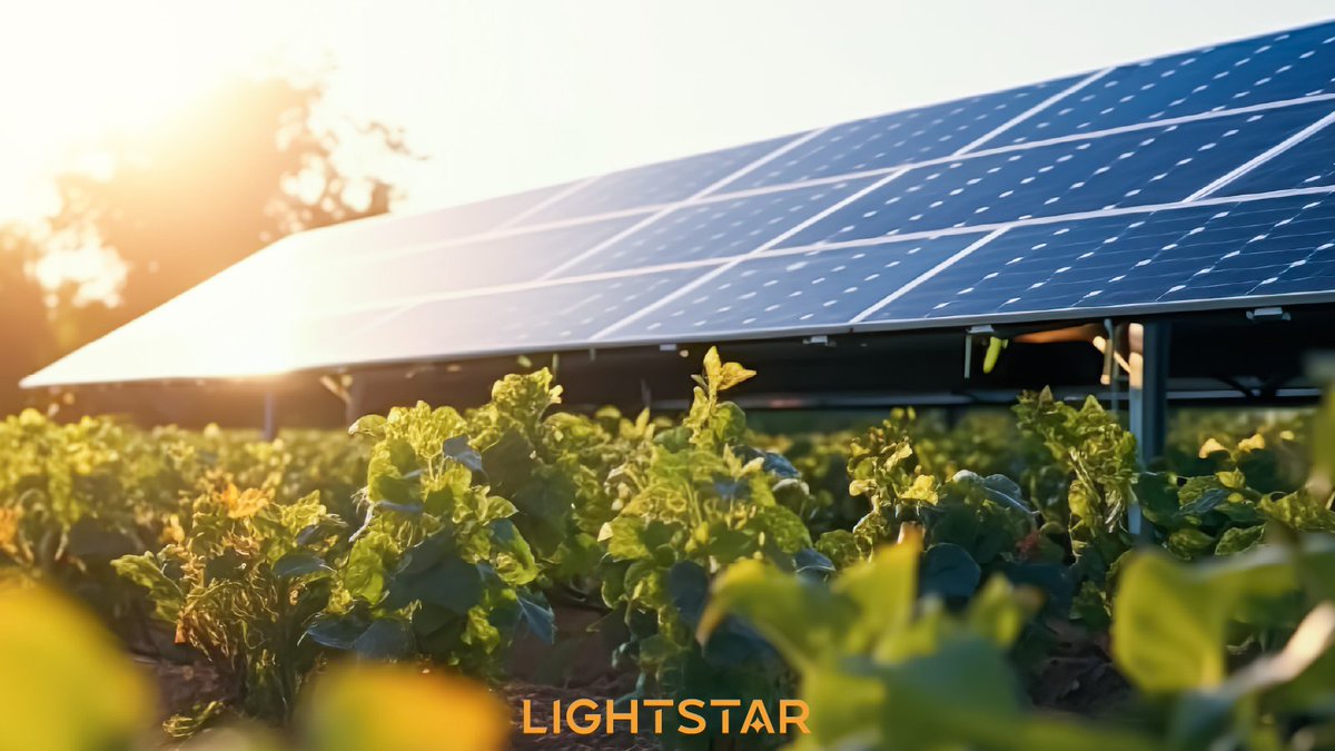 Lightstar_Solar's tweet photo. Did you know that you can generate renewable energy and produce crops on the same parcel of land with agrivoltaics? This allows you to earn twice as much from your farm! Curious to learn more about adding agrivoltaics on your land? Reach out to us today. https://t.co/Gej7ipaBRY https://t.co/Nhet2Rp80U