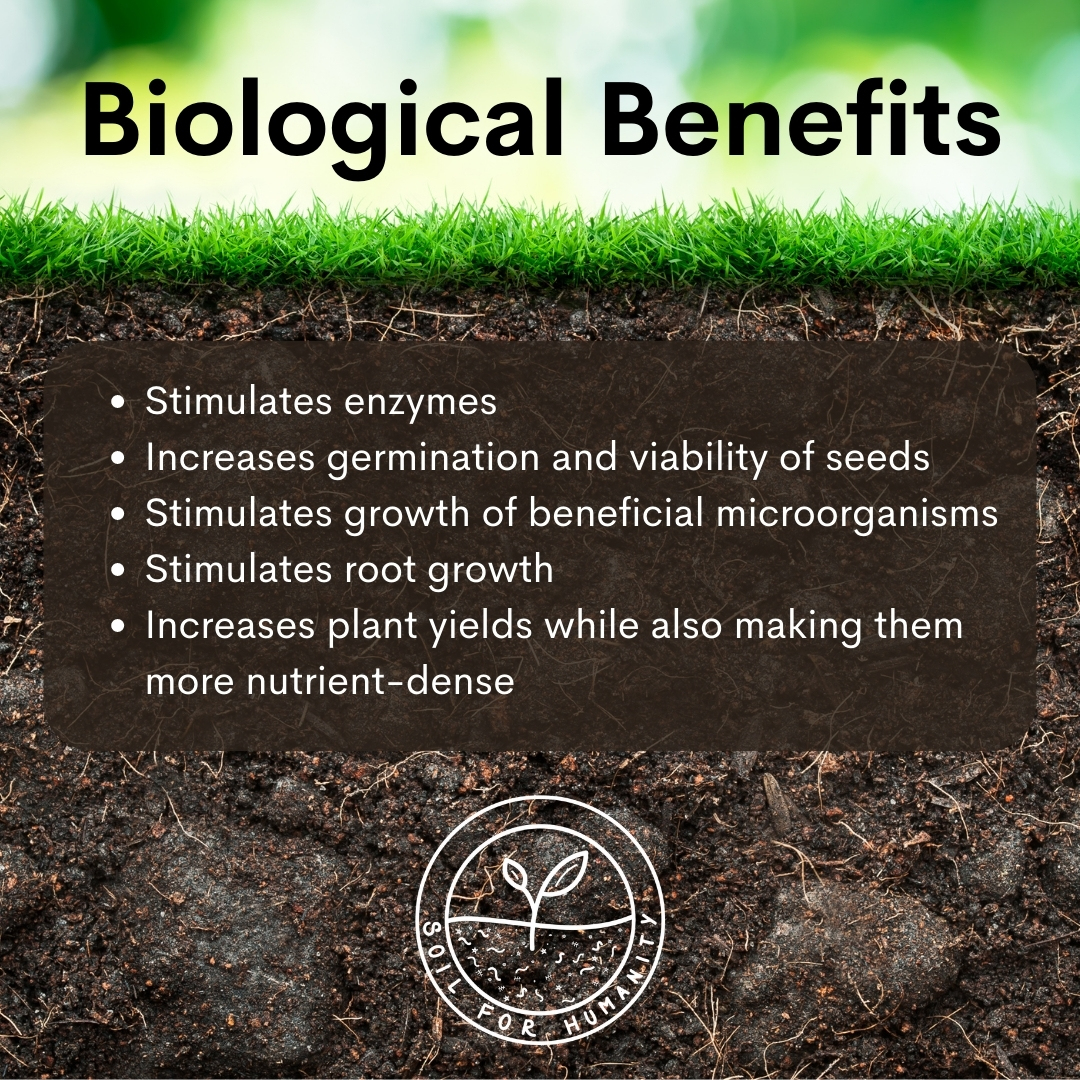 Humic acid improves your soil in three ways: structurally, chemically, and biologically.

Want to learn more? Click here -> bit.ly/3OldF2L

#humicacid #fulvicacid #soilamendment #soilmicrobes #soilhealth #healthysoil #soilbiology #soilscience #gardeningtips