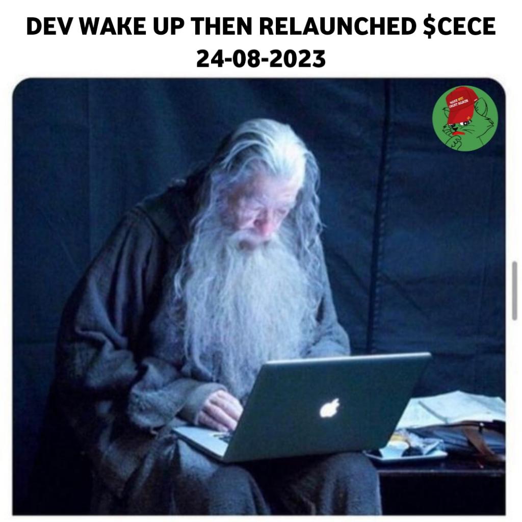 CeceToken's tweet photo. Community determine the future of $CECE, community want to relaunch it then we do. https://t.co/fOpby3eSBH