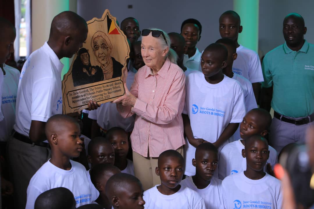 UWEC_EntebbeZoo's tweet image. Roots &amp;amp; Shoots,a youth program of the @JaneGoodallInst,launched in 1991 &amp;amp; anchored in 69 countries will have its Uganda offices at @UWEC_EntebbeZoo. Dr. Jane Goodall unveiled the architectural  Thursday morning  at UWEC. The structure will also house @WildlifeClubsUg &amp;amp; UWEC.