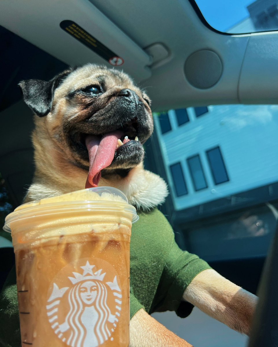 HAPPY PUMPKIN SPICE IS BACK DAY TO THOSE WHO CELEBRATE