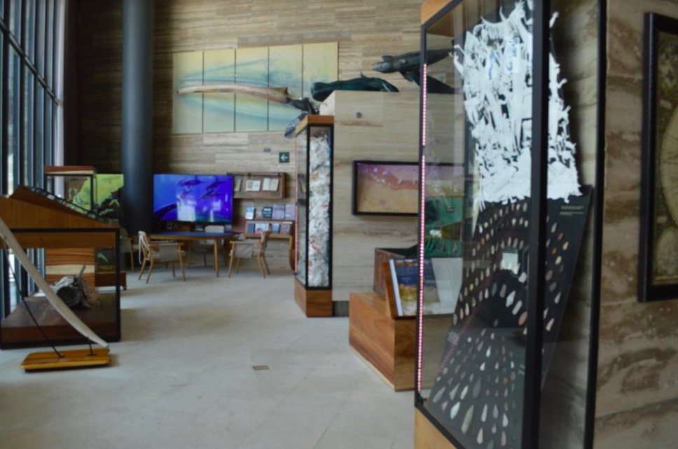 Ubicado en San José del Cabo, este hotel abrió por primera vez en el año 2018, pero tuvo una remodelación que permitió su reapertura para inicios de este año.
<a href="/Mariannamagos/">Marianna Magos</a> 
Léelo aquí 👇
lideresmexicanos.com/tendencias/sol…