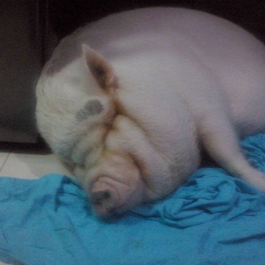 Ruben P. tweet media