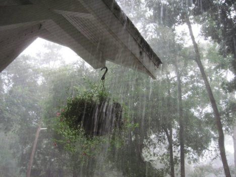 violettweets_'s tweet image. rainy day.