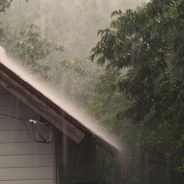 violettweets_'s tweet image. rainy day.