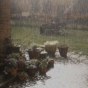 violettweets_'s tweet image. rainy day.