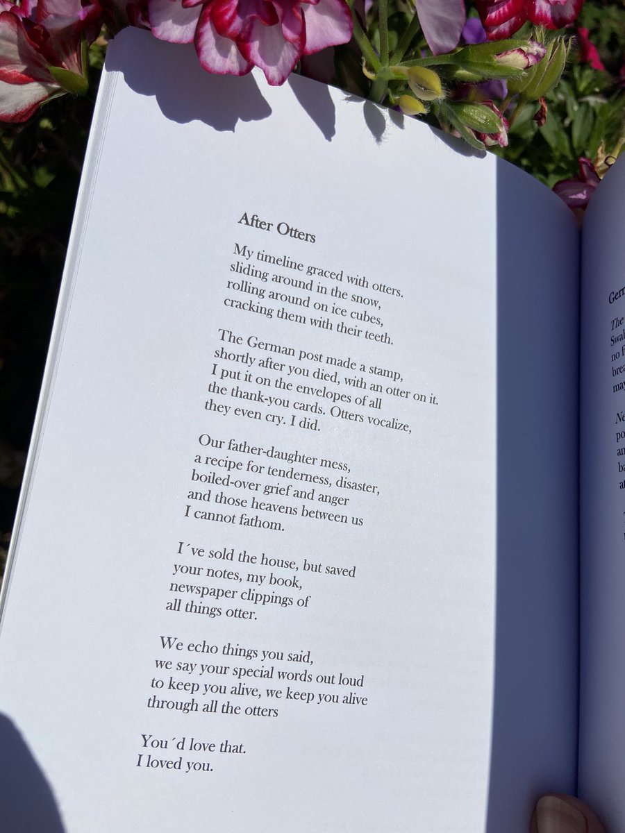 Rhona_Greene's tweet image. My choice for #TheSealeyChallenge today is ‘St Eisenberg &amp;amp; the Sunshine Bus’ by Annick Yerem @missyerem @hedgehogpoetry 
A beautiful lament for her dear father where she navigates her way beyond loss &amp;amp; grief with gifted words in a unique language of otter-shaped love.☀️🚌🌻🦦