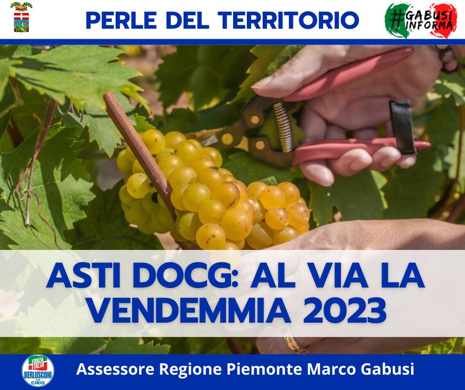 GabusiMarco's tweet photo. 🍇 ASTI DOCG: AL VIA LA VENDEMMIA 2023! 🍇
In linea con le rese degli anni precedenti, anche quest’anno si prevede una #qualità complessivamente #ottima!
Le #perle del nostro bellissimo #territorio 💙
Buona #vendemmia a tutti!🍷 https://t.co/Kg0wY1AEXo