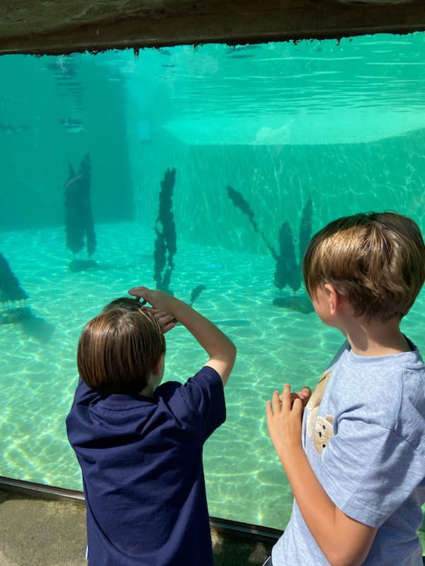 As well as our full family trip to Blackpool, thanks to funding received, a number of families we work with had their own summer adventures including Wales and Blackpool. It’s been great to get their virtual postcards of their holidays @flm_sharp @MUmanchesterdio