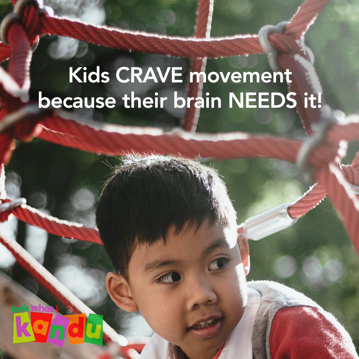 Moving Smart tweet media