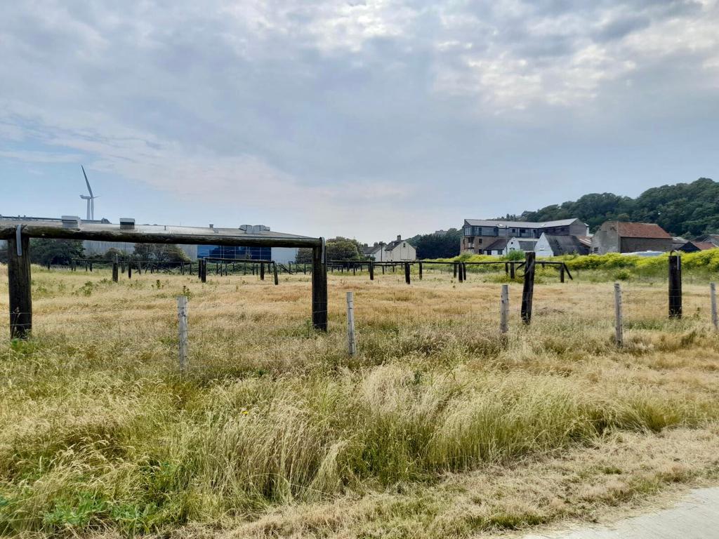 Looking back at The Ness, the most easterly park in the UK this #ThrowbackThursday. Thanks to <a href="/Concertus_/">Concertus</a> for sending across these photos of the park and meadows settling in on a lovely sunny day ☀️

<a href="/EastSuffolk/">East Suffolk Council</a> | <a href="/BlakedownLandsc/">BlakedownLandscapes</a>