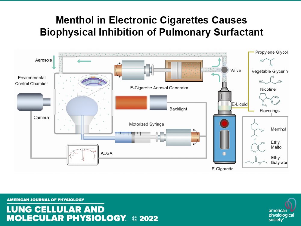 AJPLung's tweet photo. Check out our #ThowbackThursday piece warning again #E-Cigarettes, Menthol in electronic cigarettes causes biophysical inhibition of pulmonary surfactant (Lu Xu et al.):
https://t.co/zAjYTto0Q7
#Methol #Surfactant https://t.co/9xKMnSRX7z
