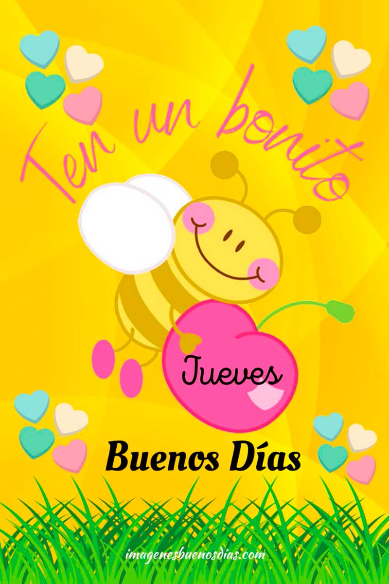 Fabiolajudithla's tweet photo. Lindo dia https://t.co/6qlYS4MzTN