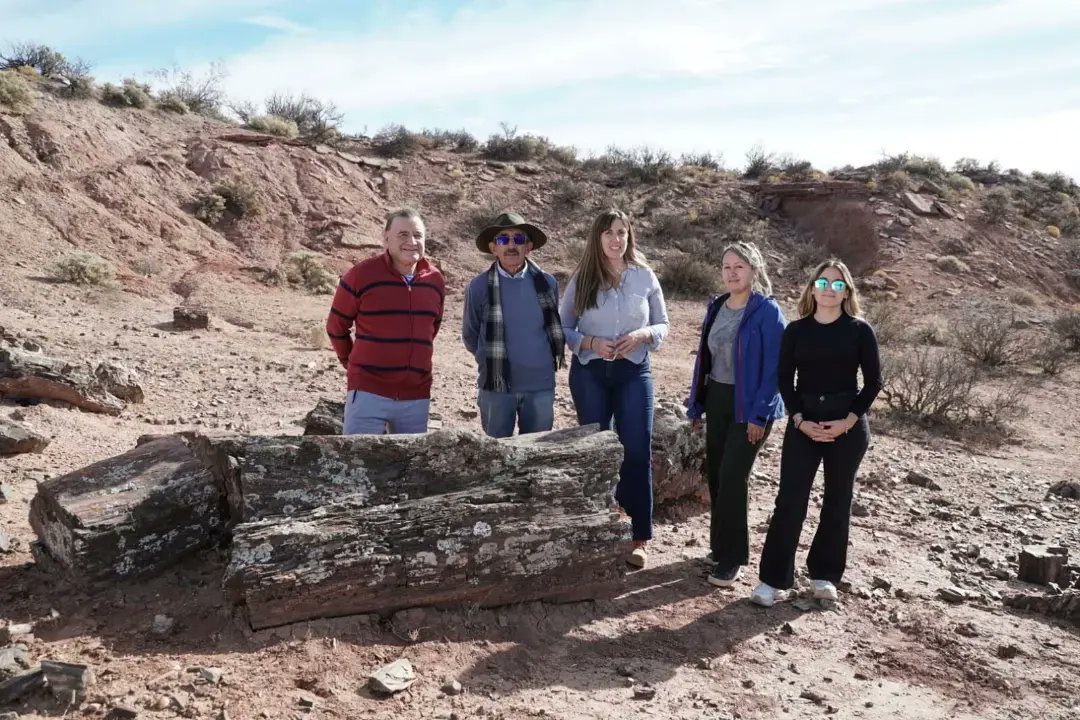 LoreAbdala's tweet photo. #ComD ✅ Despacho al Proyecto de Ley iniciado por nuestro gobernador @OmarGutierrezOk, el cual declara Patrimonio Cultural e Histórico de la provincia al Bosque Petrificado, denominado “El Sauce”, ubicado en📍Picún Leufú. Posteriormente a comisiones A y B. https://t.co/BFRRxijPX5