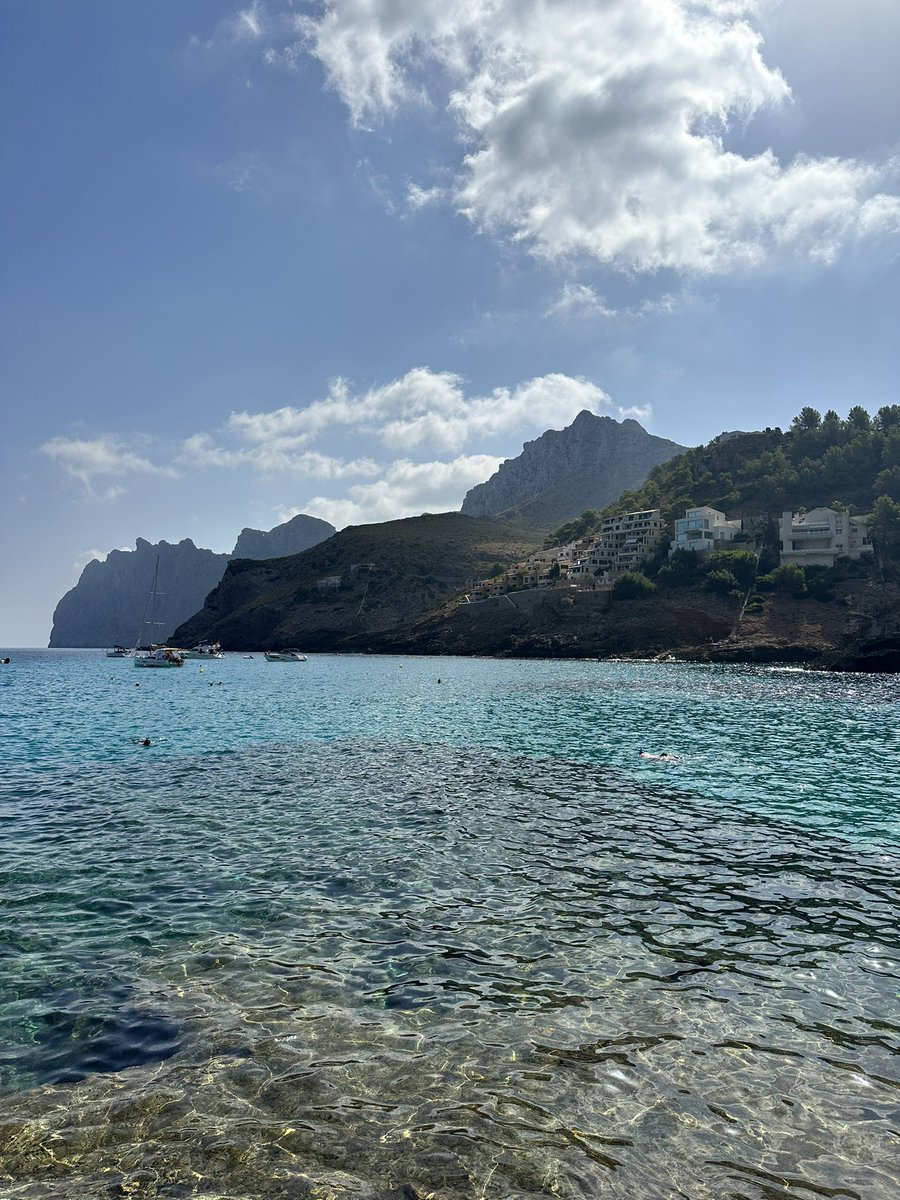 David Pozos ️ tweet media